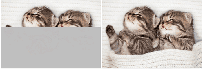 A partially corrupted image of kittens next to the complete version.