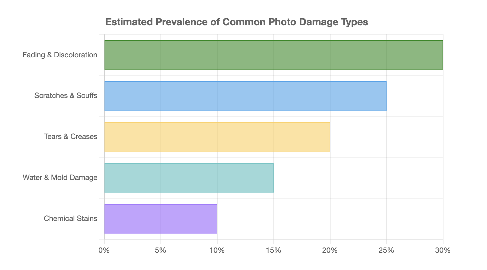 Estimated Prevalence of Common Photo Damage Types